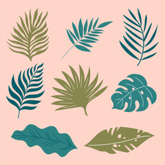 Colourful tropical set of palm leaves. Handdrawn vector design.