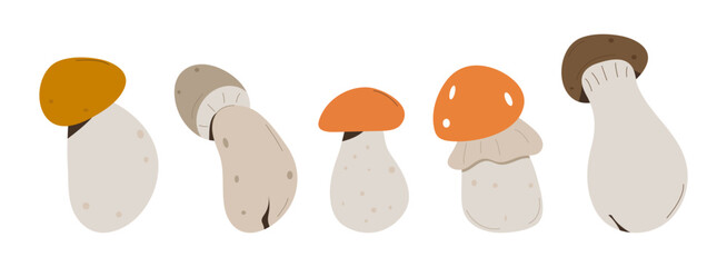 Forest Mushrooms, chanterelles and toadstools. Mushroom in hand drawing style set.