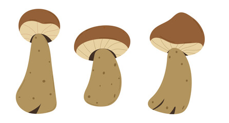 Mushroom in hand drawing style. White mushroom,