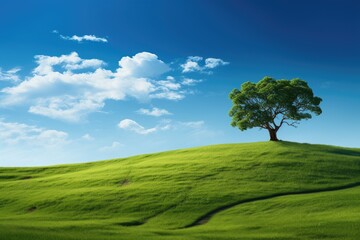 Wallpaper landscape of trees on a beautiful green hill