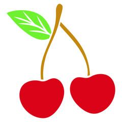 cherry with leaf vector illustration
