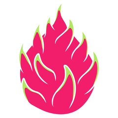 dragon fruit illustration vector