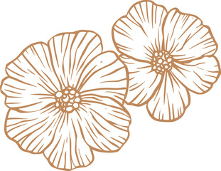 Vintage flower sketch line art - 785573994
