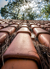 Roof and tile texture