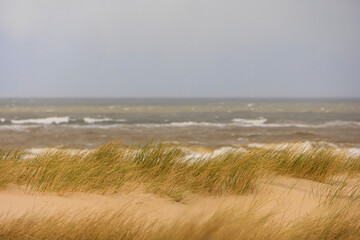  Dunes and the stormy sea with wild waves in the Dutch town of Bergen aan Zee on a stormy day with...