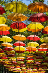Fototapeta na wymiar umbrella colorful up