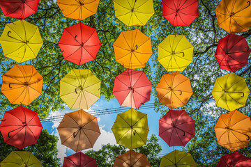 umbrella colorful up