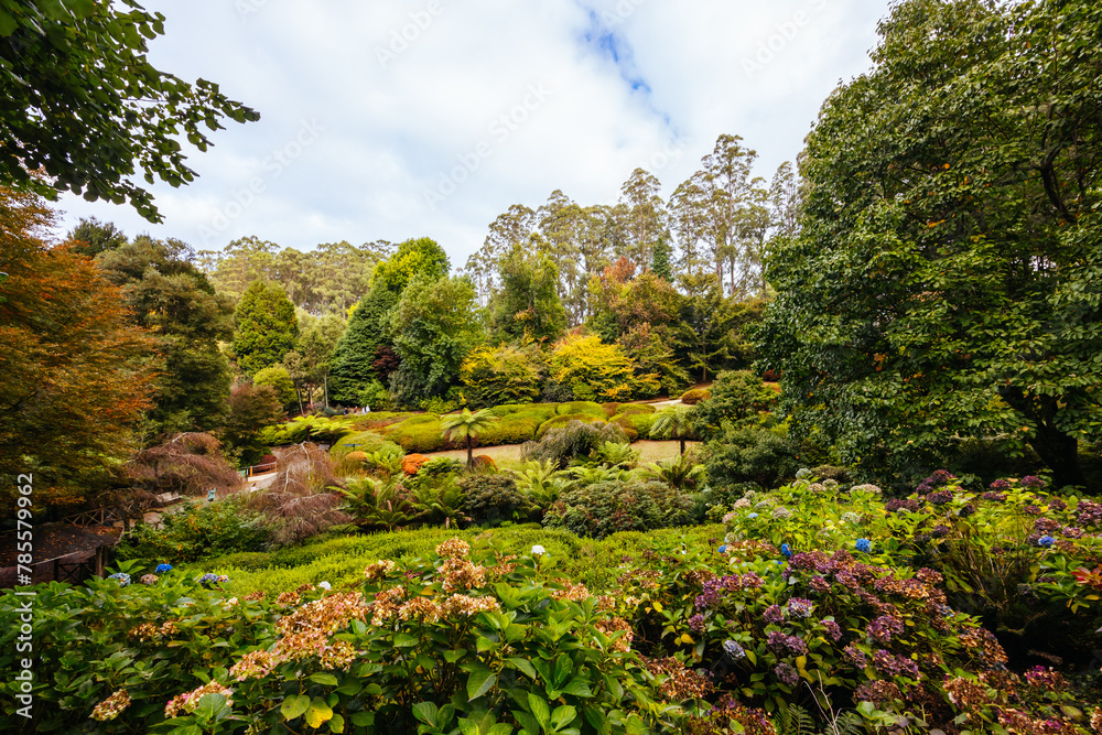 Wall mural Dandenong Ranges Botanic Garden in Olinda Australia