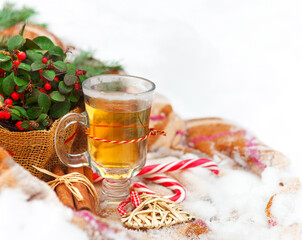 Christmas still life nestling in fresh snow