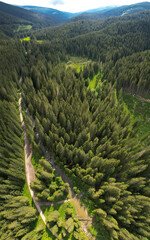 Vertical drone view above Sadu valley. Sadu river flowing along wild coniferous forests through green pastures. Cindrel mountain peaks are raising impetuous to the clouded sky. Carpathia, Romania - obrazy, fototapety, plakaty