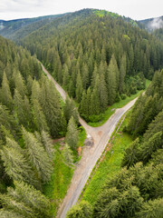 Aerial vertical drone panorama of two dirt roads intersecting while crossing a wild coniferous forest. A stream flows along the road. Cloudy day in Cindrel Mountains, Carpathia. - obrazy, fototapety, plakaty