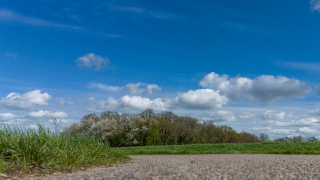 Route en bitume avec prairie et for&ecirc;t en arri&egrave;re-plan prise au ras du sol