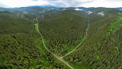 Aerial drone panorama of two dirt roads intersecting while crossing a wild coniferous forest. Rainy...