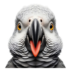 Fototapeta premium Isolated Cute Funny Animal on a Clear PNG Canvas, Generative AI