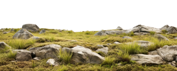PNG Rocky grass field land landscape grassland