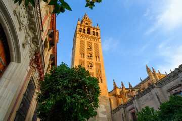 Obraz premium La Giralda, Catedral de Sevilla, Andalusia, Spain, Europe