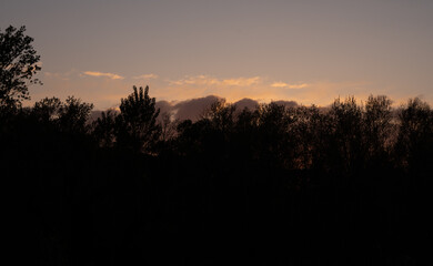 Sunset in Talenti park