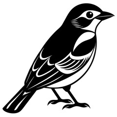 bird on a branch