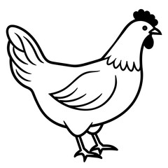 Fototapeta na wymiar illustration of a chicken