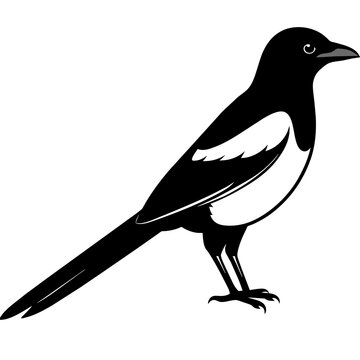 recommend clip art: crow on a branch