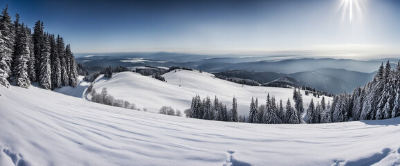 Fototapeta premium Stunning panorama of snowy landscape in winter in Black Forest - beautiful winter wonderland