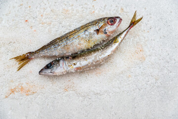 Whole raw organic mackerel fish with sea salt lying on a flat white surface - 785601336