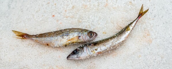 Whole raw organic mackerel fish with sea salt lying on a flat white surface - 785601364