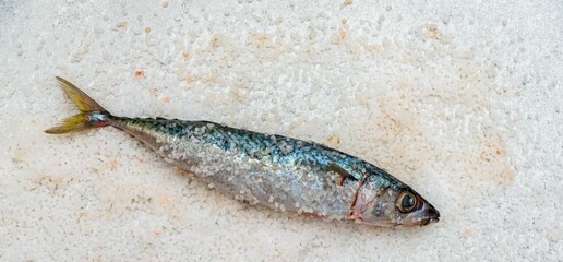 Whole raw organic mackerel fish with sea salt lying on a flat white surface - 785601389