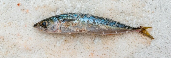 Whole raw organic mackerel fish with sea salt lying on a flat white surface - 785601552