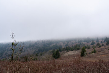 Fog Moving Over a Mountaintop in the Grayson Highlands Virginia