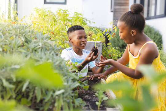 African American brother and sister are gardening together, holding soil
