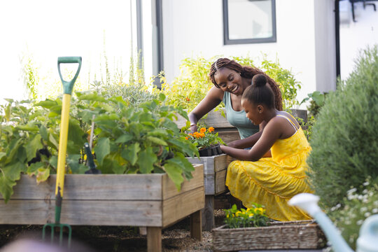 African American mother and young daughter are gardening together with copy space