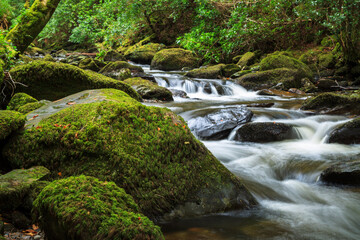 Torc waterfall in Killarney National Park, Ireland