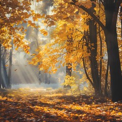 Golden Glow Forest - Serene Haven for Autumn Beauty and Nature's Splendor