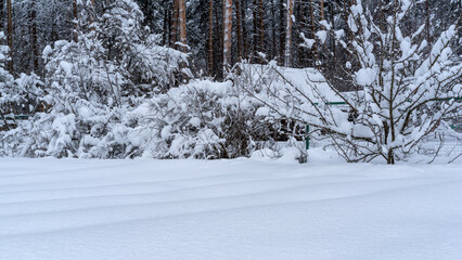 Winter snow-covered forest. Snowfall in the winter forest.