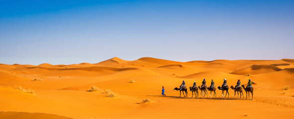 Camel caravan going through the sand dunes in beautiful Sahara Desert. Amazing view nature of Africa. Artistic picture. Beauty world. Panorama