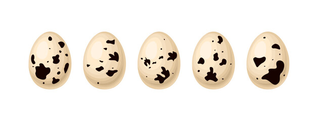 Set of quail eggs isolated on white background. Vector cartoon illustration. 
