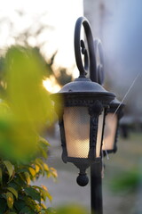 old lantern on the street, green plants, day light