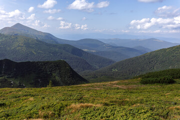 Fototapeta premium Beautiful view in the Carpathians. Spitzi Mountains. Ukraine