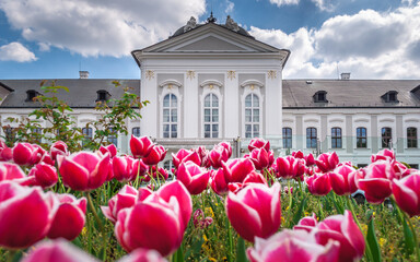 The Grassalkovich Palace - the President's residence of Slovakia is near the Summer Archbishop's Palace. The building is a Rococo-late Baroque summer palace built in 1760 with a French garden.