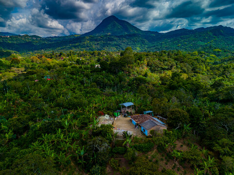 finca cafetera colombiana