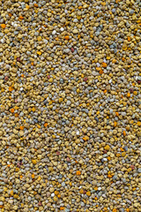Bee pollen or perga textured background . Raw brown, yellow, orange and blue flower pollen grains or bee bread texture pattern. Healthy food supplement