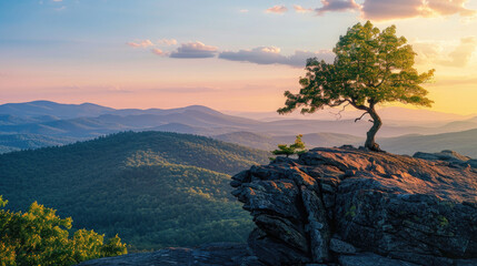 Mountain landscape with tree at sunset in summer, scenic lone pine at cliff top, panoramic stunning...