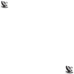 Illustration Black Swan Stock Vector  - obrazy, fototapety, plakaty