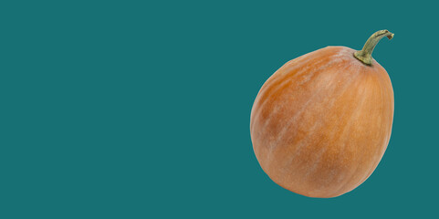 big orange pumpkin on a green background.	