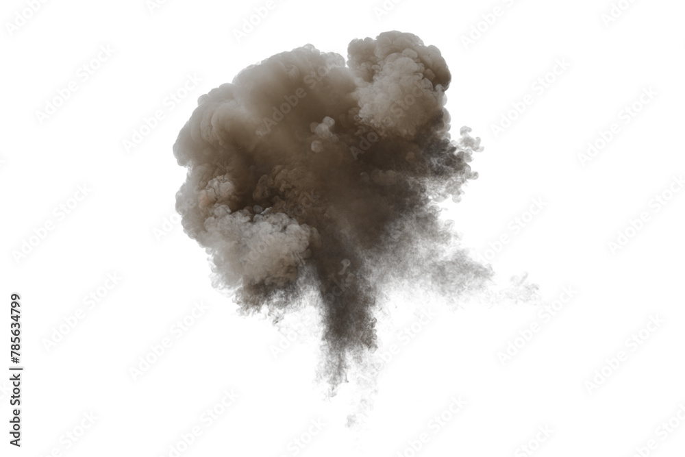 Wall mural Aerial explosion on transparent background