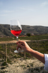 Female hand delicately holds a glass of rose wine with view of a vineyard sprawling in the background