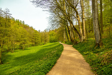 Eine kleine Wandertour von Bad Liebenstein bis zum Rennsteig, inkl. dem Frühlingserwachen im Altensteiner Park bei herrlichen Sonnenschein - Thüringen - Deutschland