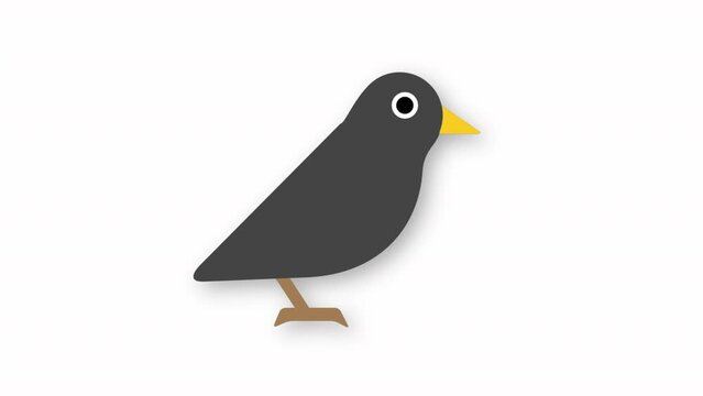 animation design of bird