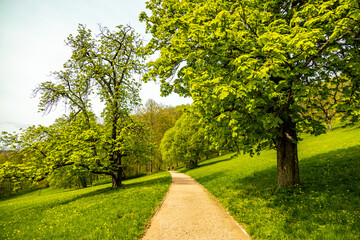 Eine kleine Wandertour von Bad Liebenstein bis zum Rennsteig, inkl. dem Frühlingserwachen im Altensteiner Park bei herrlichen Sonnenschein - Thüringen - Deutschland